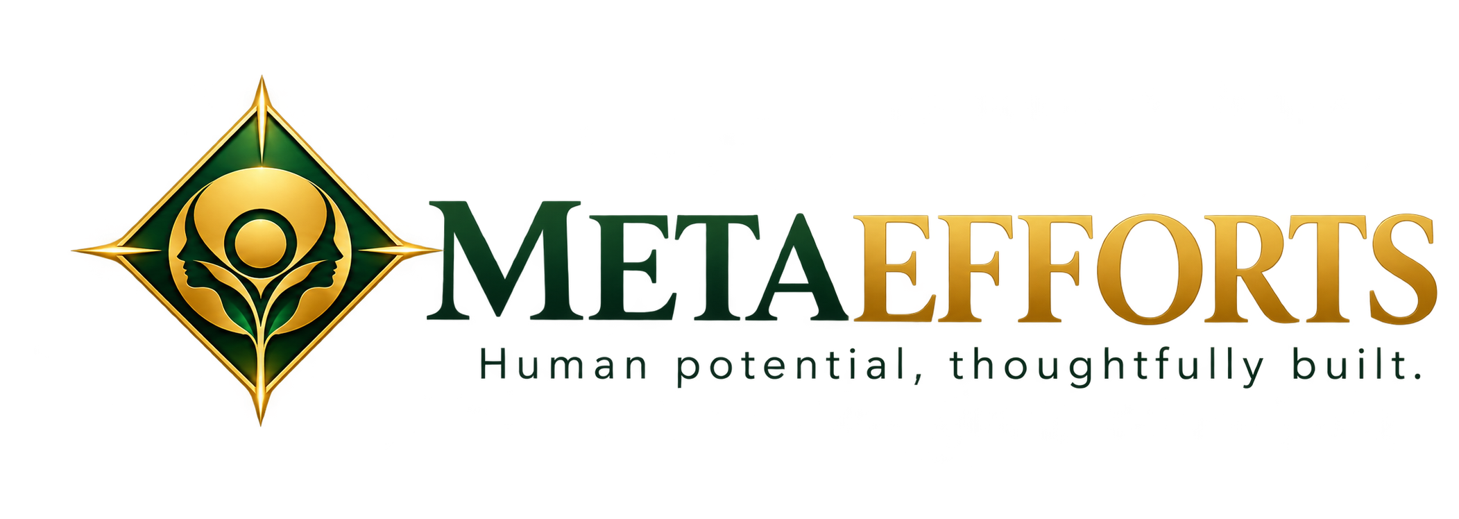 metaefforts.com